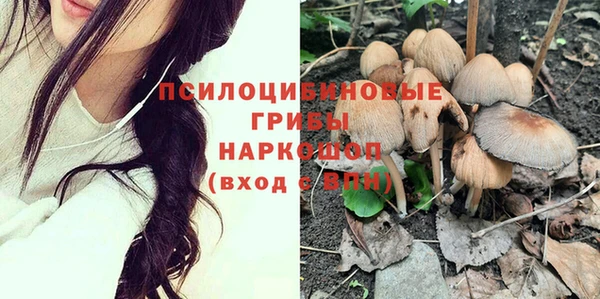 не бодяженный Новозыбков