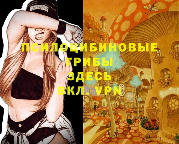 не бодяженный Новозыбков