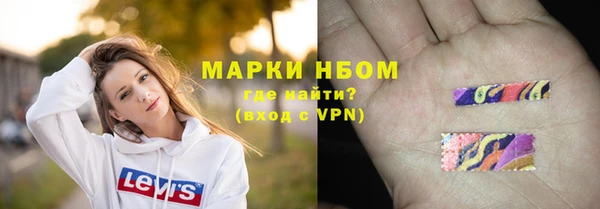 Альфа ПВП Няндома