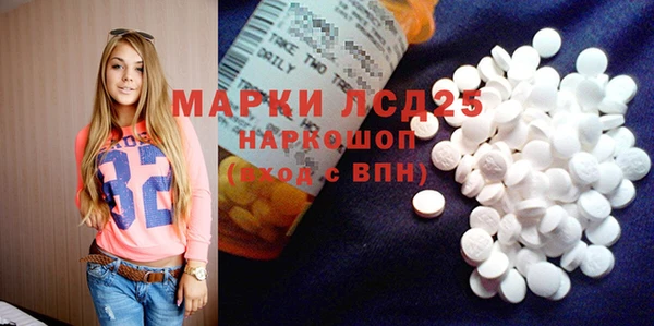 PSILOCYBIN Новокубанск