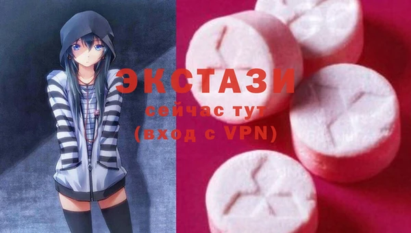Альфа ПВП Няндома