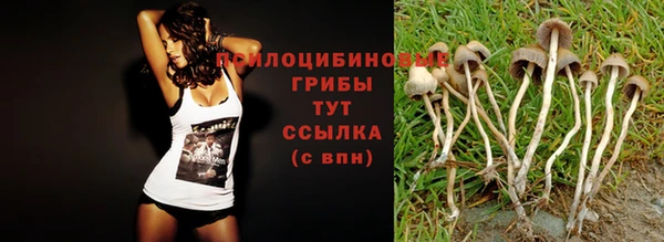 прущая мука Нягань